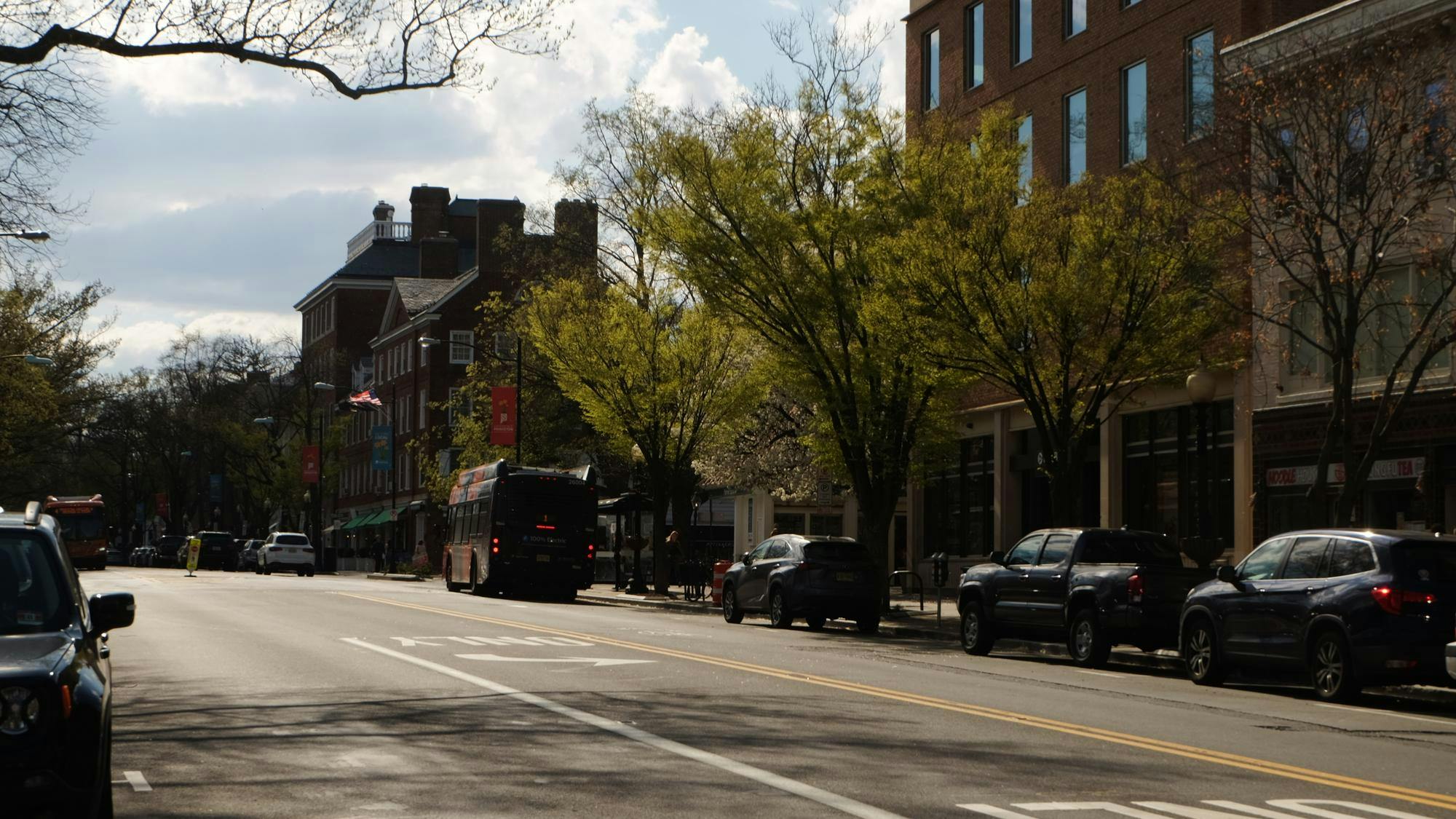 Street with shadow of trees, along brick buildings and trees.