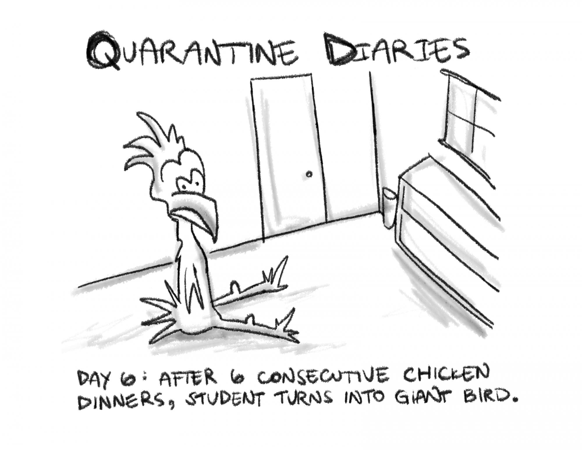 Quarantine Diaries