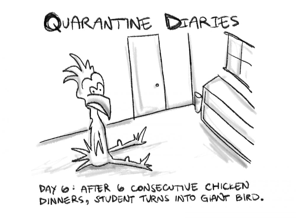 Quarantine Diaries
