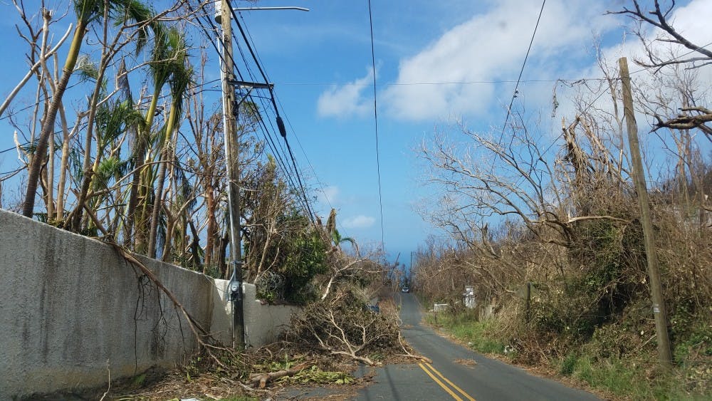 Irma brought down trees across the islands and rendered roads impassable