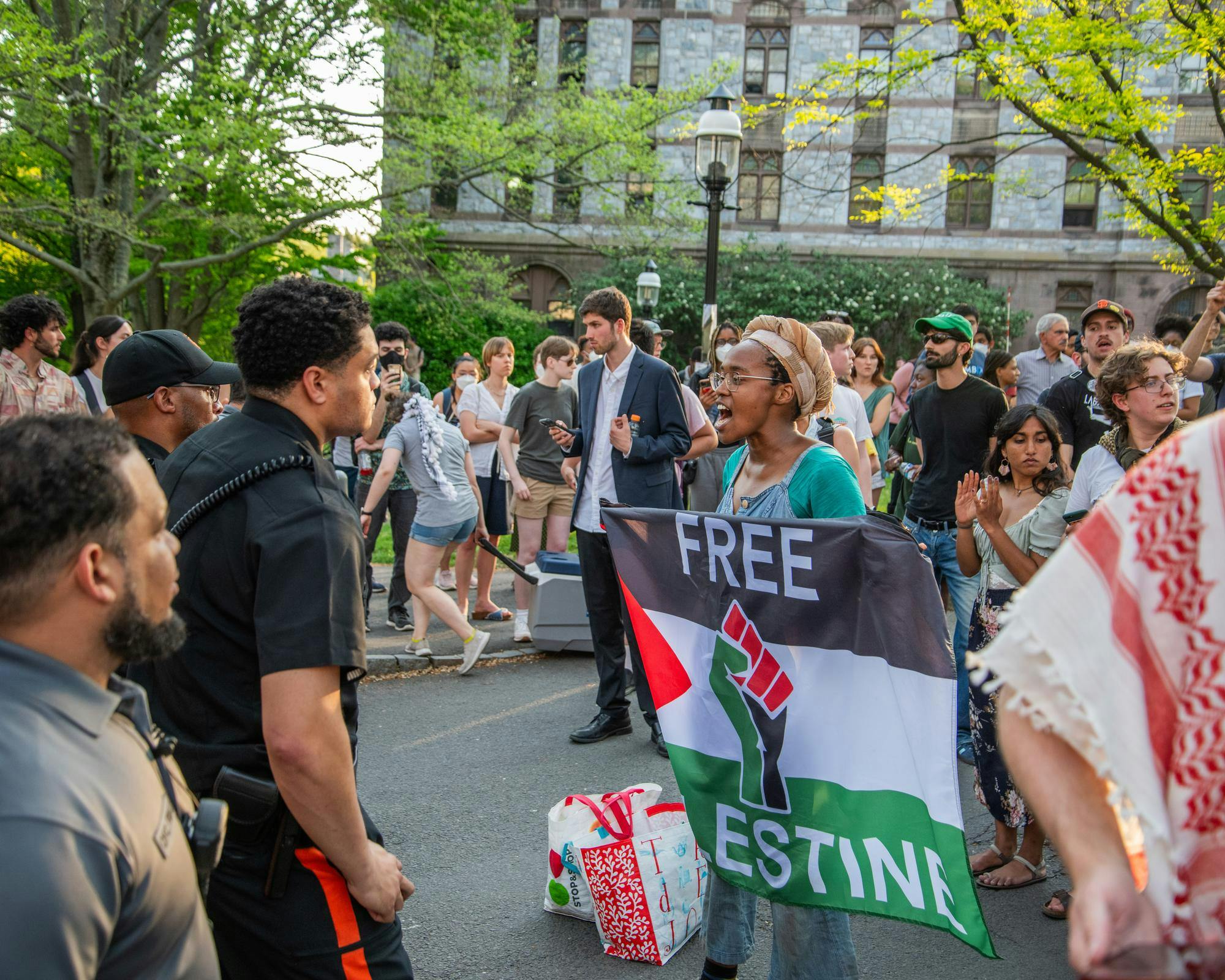 A woman holding a flag that reads “free palestine” faces towards a police officer.