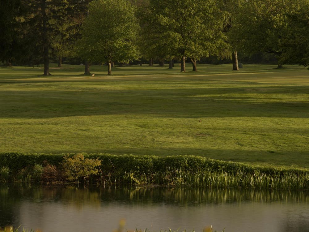 Verdant greenery in the Northeastern United States.