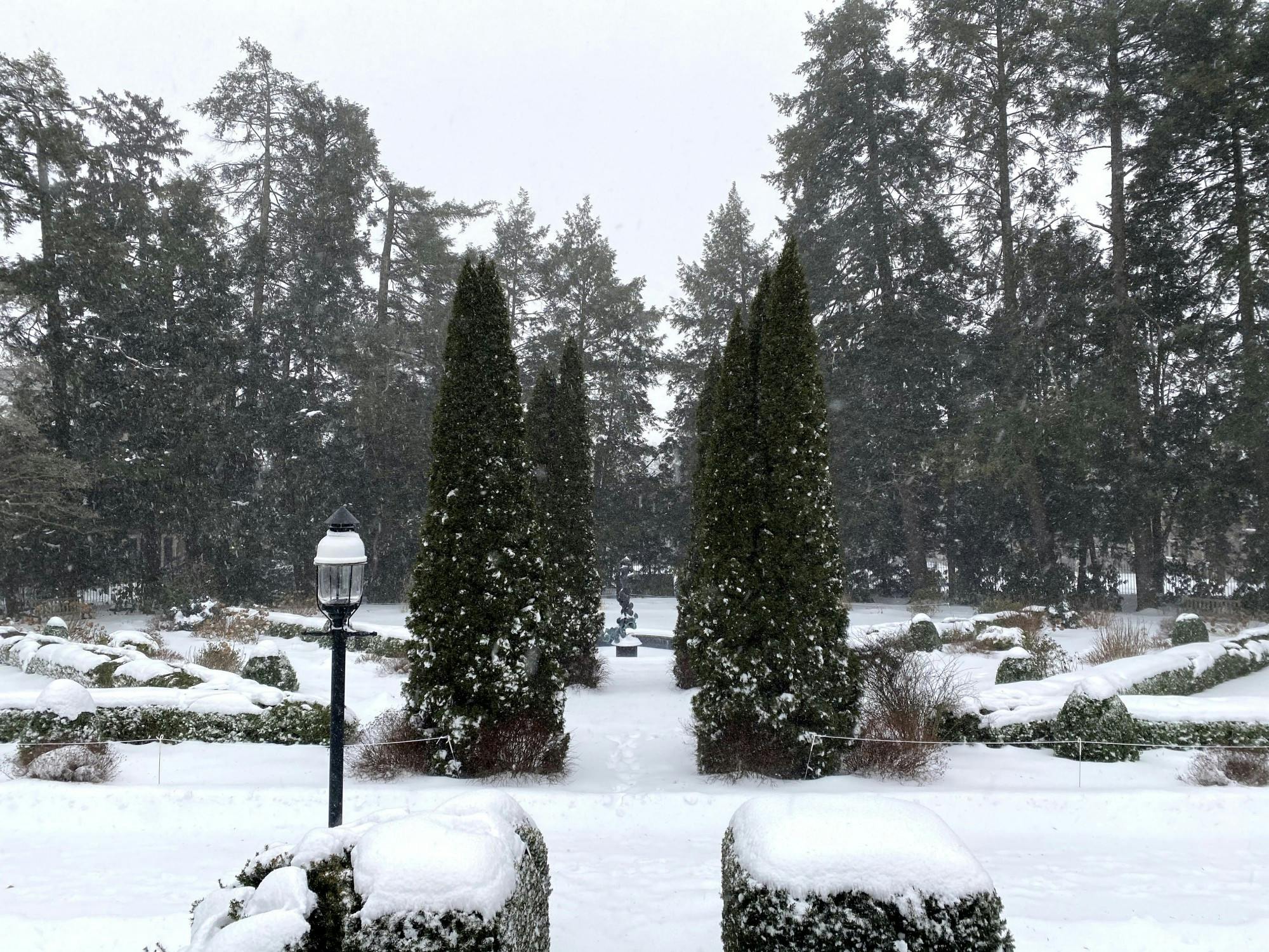 snow-prospect-garden-justin-cai