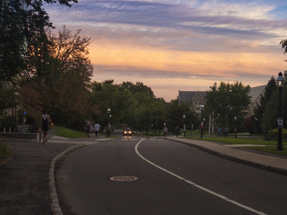 Elm Drive at sunset