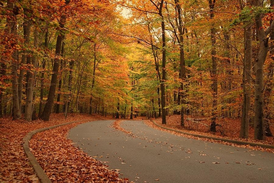 holmdel park