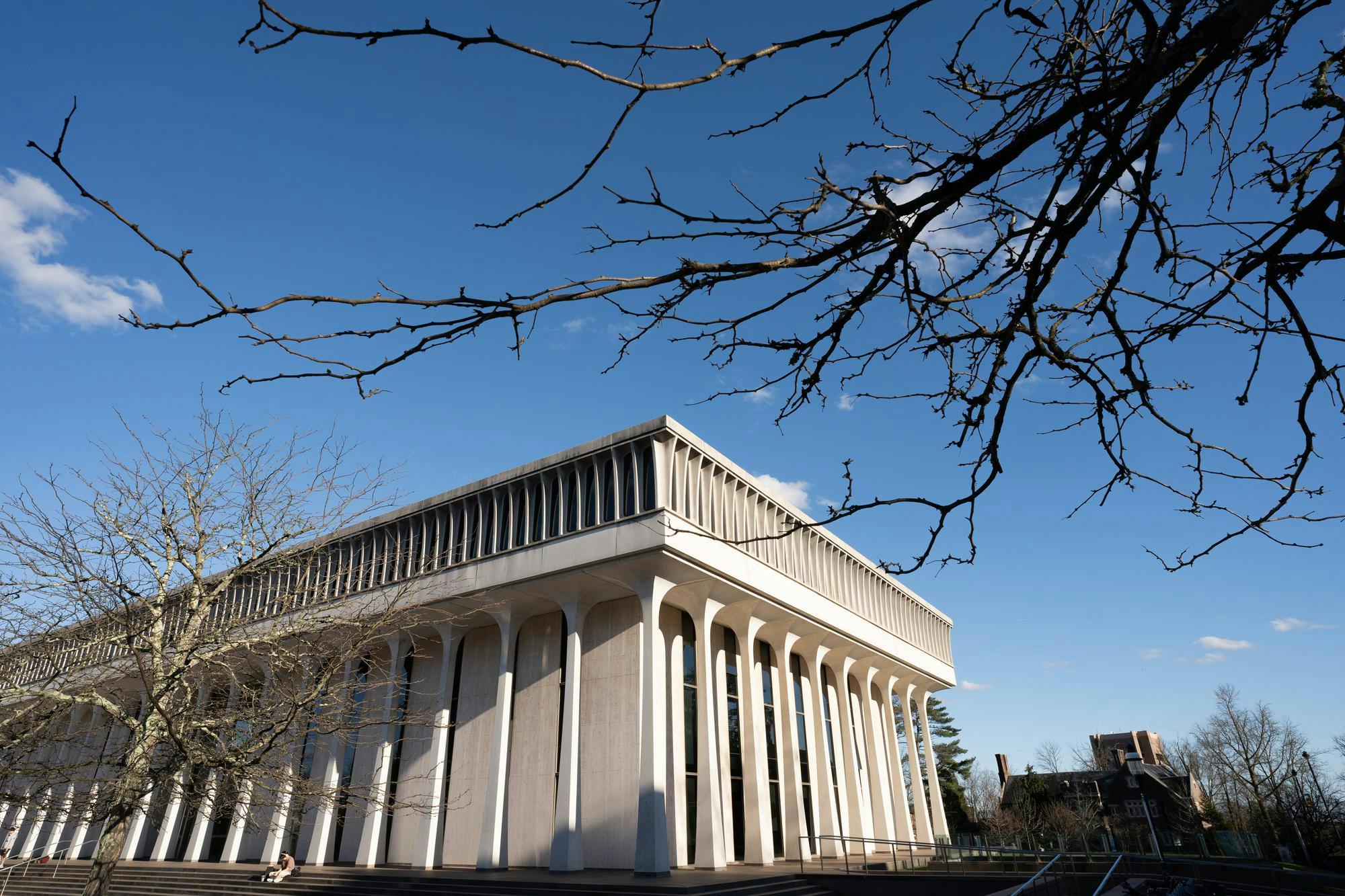 A white building with many columns with a blue sky and a tree with no leaves.