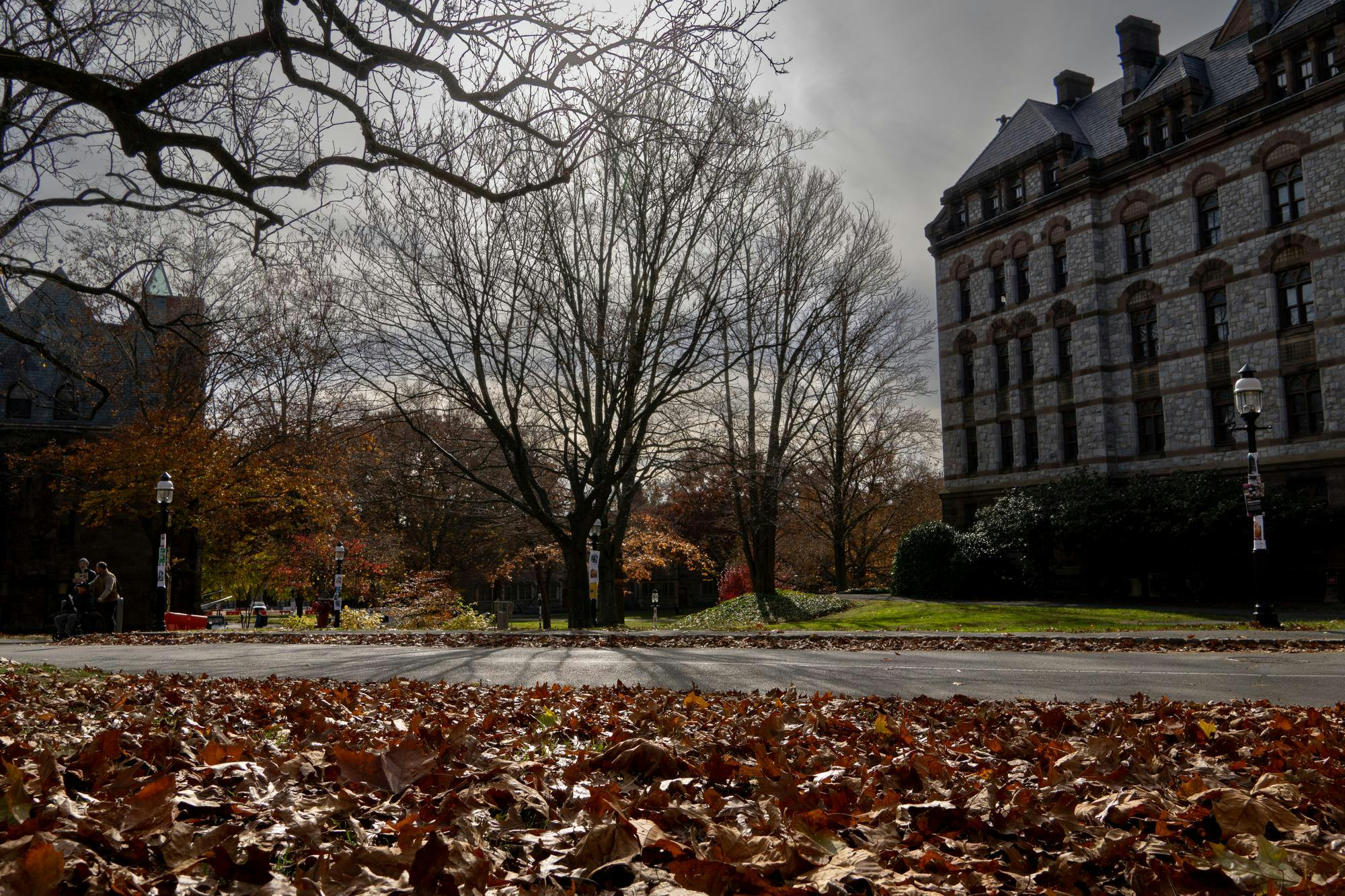 A tree that has lost all of its leaves stand in front of a large stone building. A gray sky stands in the background.