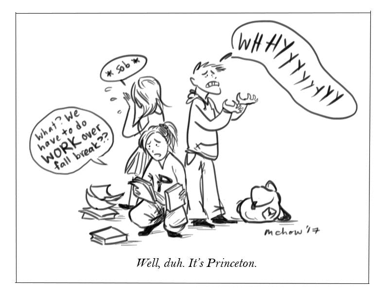 Well, Princeton Marisa Chow 17