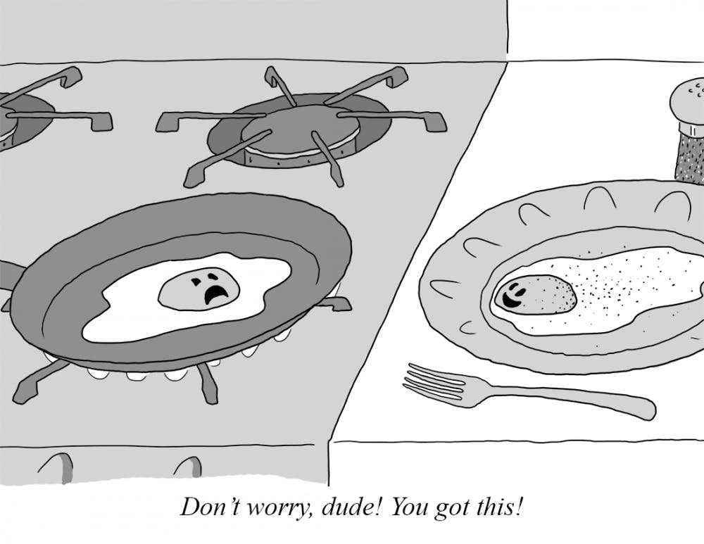 This is Your Brain on Princeton