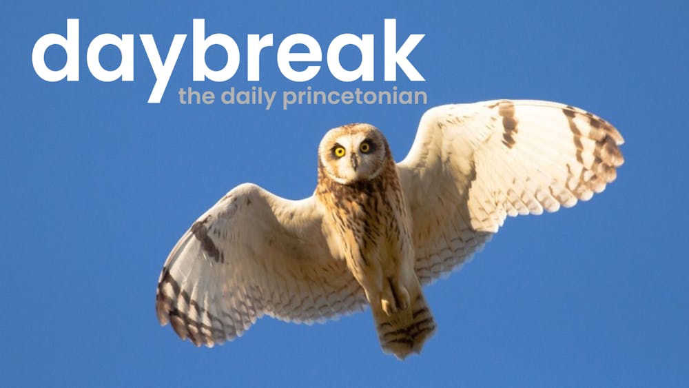 A Short-eared Owl in flight against a blue sky background. Text above the owl states "Daybreak" in large text and "daily princetonian" in smaller text