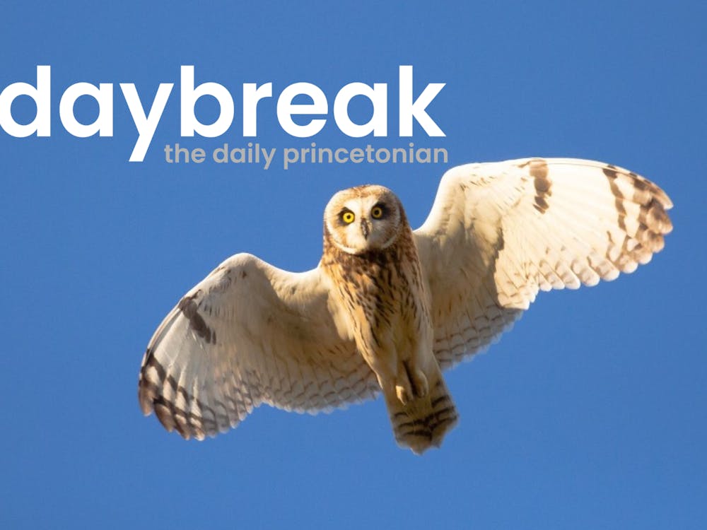A Short-eared Owl in flight against a blue sky background. Text above the owl states "Daybreak" in large text and "daily princetonian" in smaller text