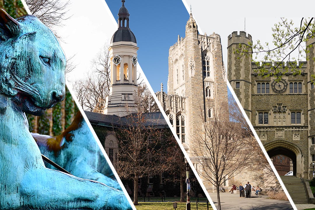 Frosh survey dom media