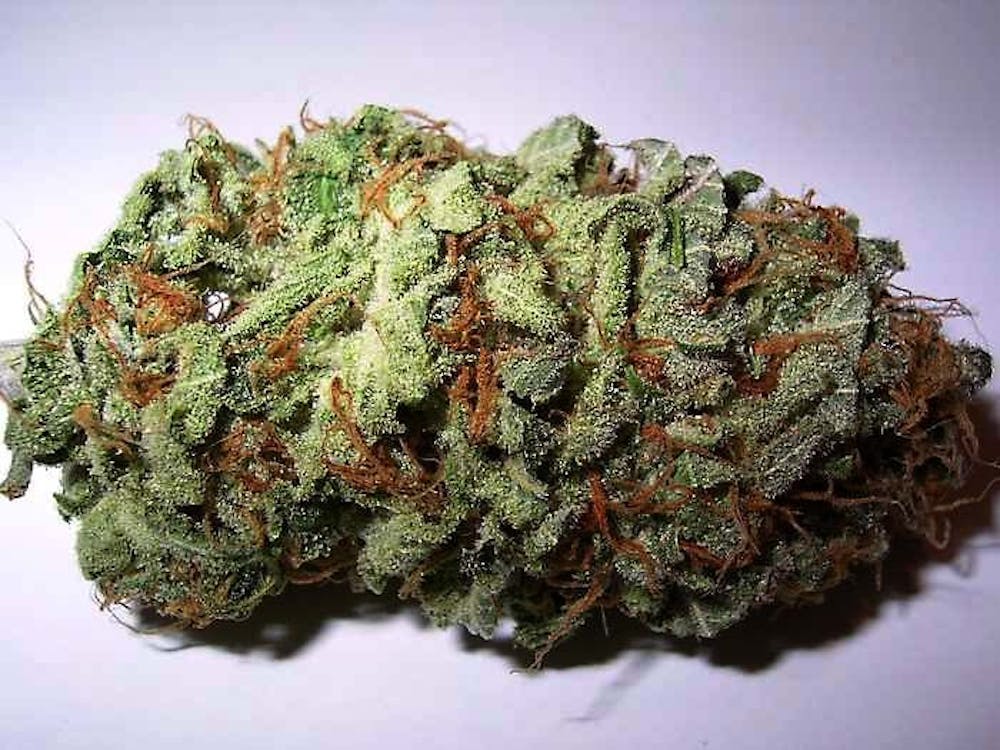 st-3-bud