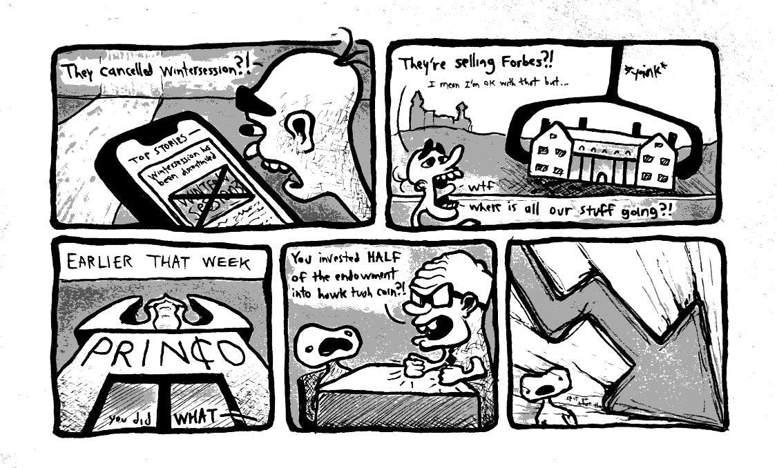 IMG_0044 - Noam Rabinovitz.jpeg