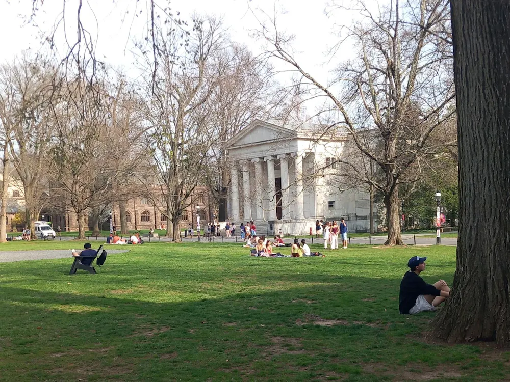 Students sit, scattered across the grass of Cannon Green.