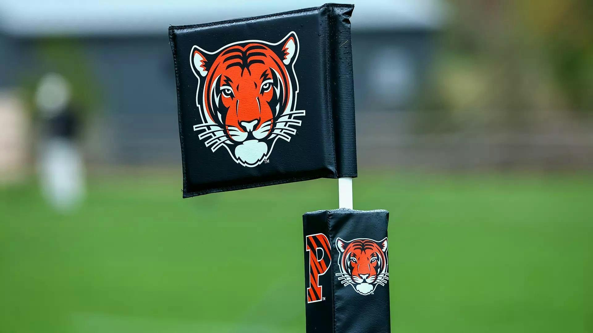 A black Princeton flag with an orange tiger on a green field.