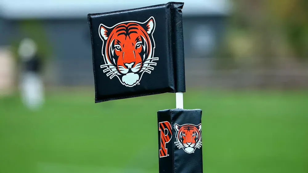 A black Princeton flag with an orange tiger on a green field.