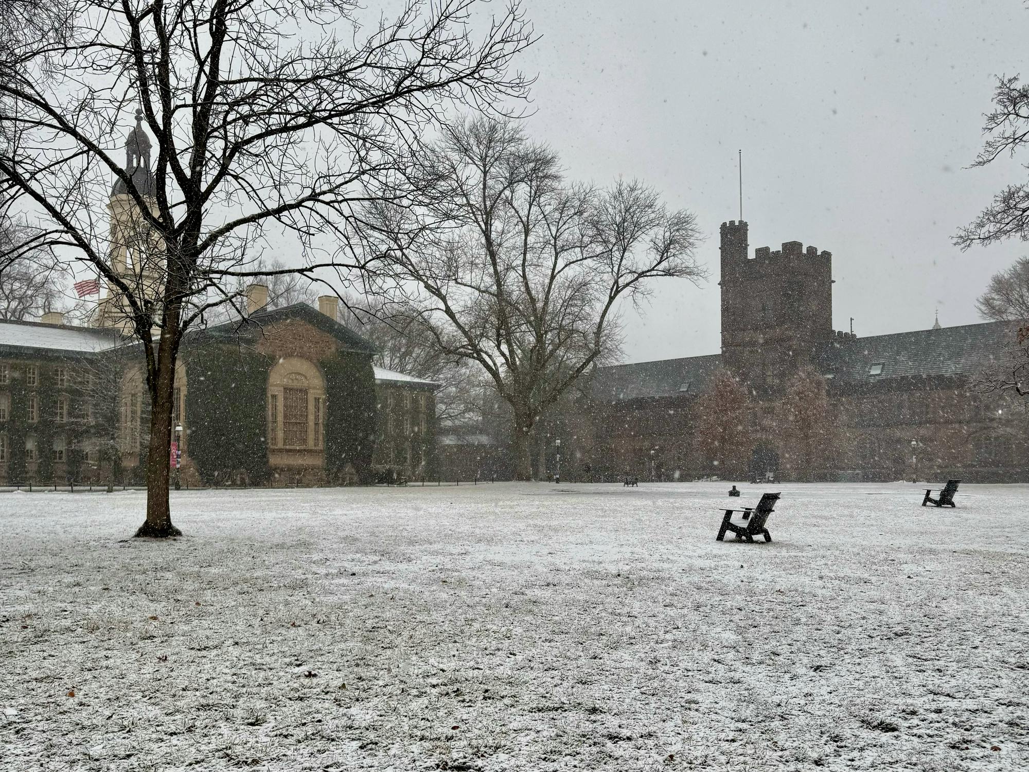 Afar stand Nassau Hall and East Pyne with flurries of snow descending on Cannon Green.