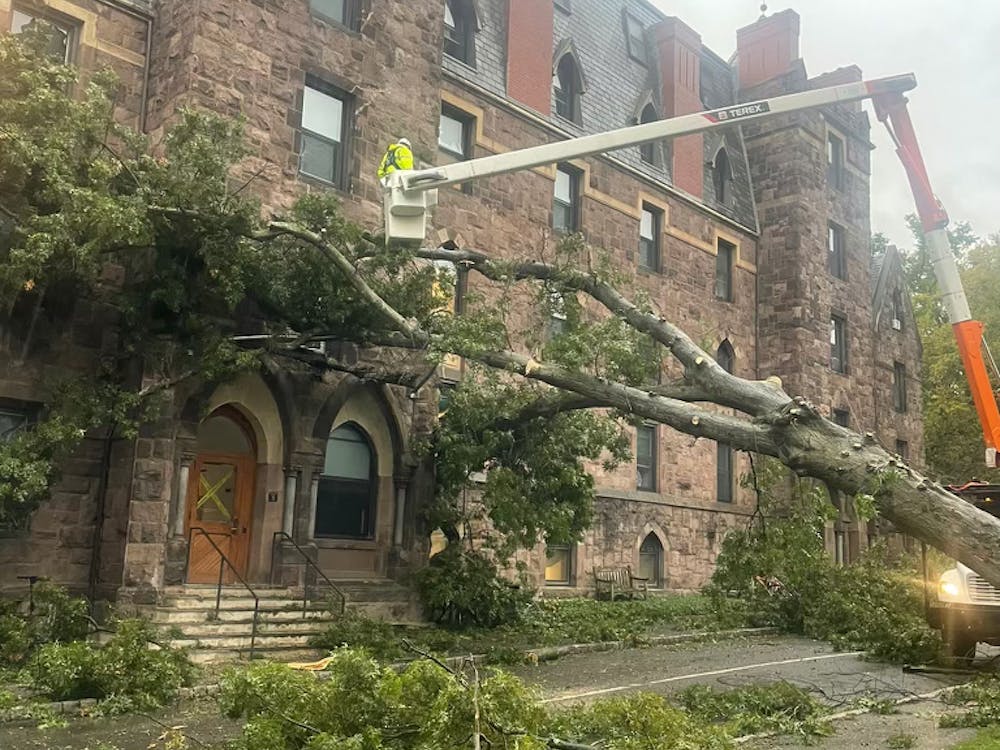 Photo of a red oak tree fallen over on Edwards Hall, with leaves and branches strewn on the ground. A worker in a neon yellow vest is suspended above the tree on a crane extending from a truck to assess the damage.