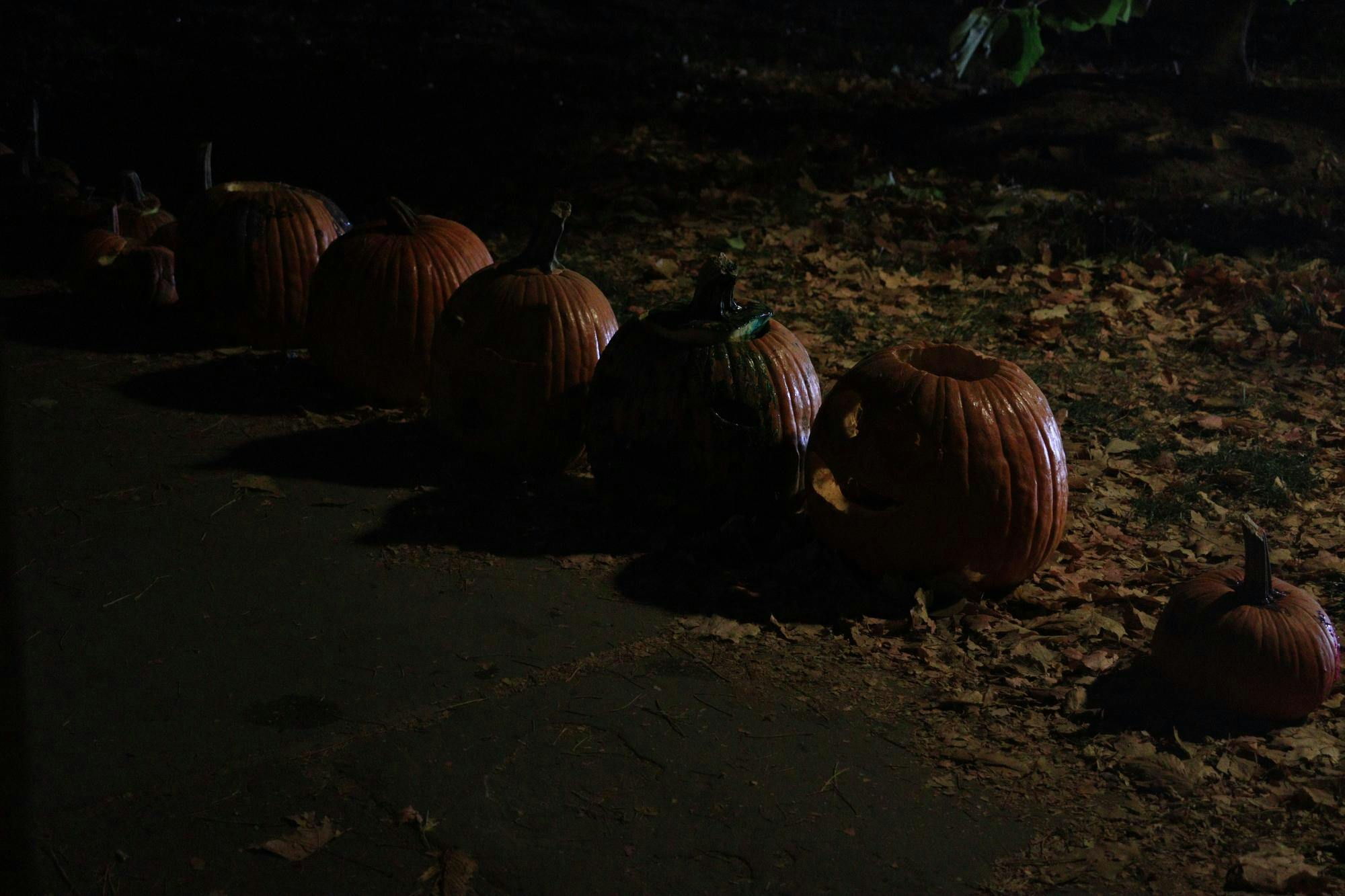 murray dodge halloween _ jean shin.JPG