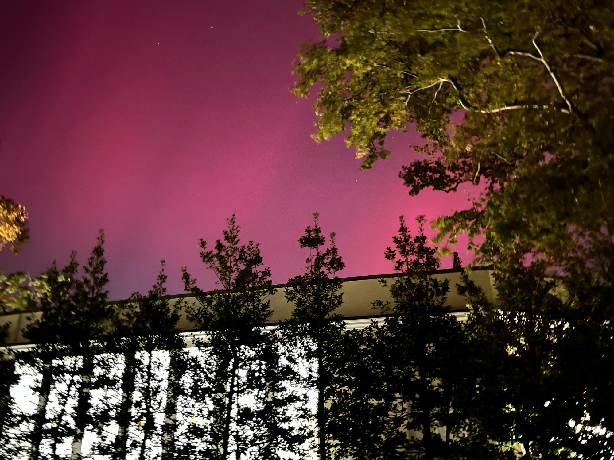 Purple and pink streaks light the Princeton sky.