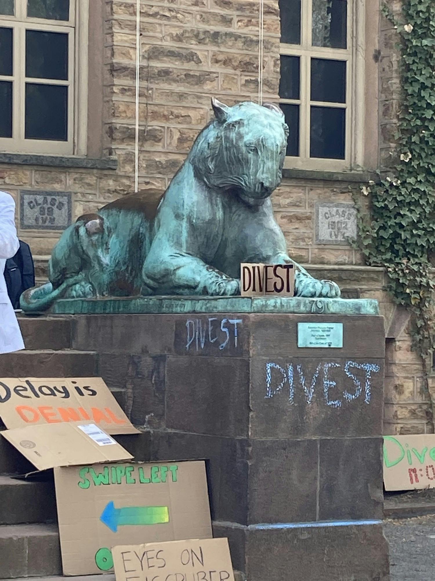 divest-rally-5