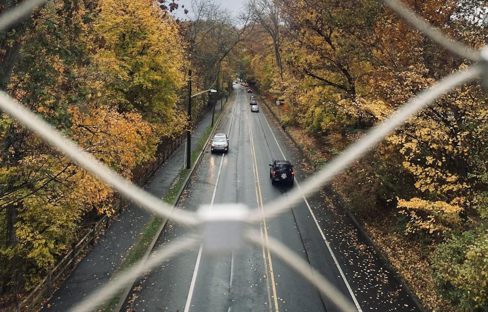 An aerial view of a long road lined by trees in front of a gray sky.