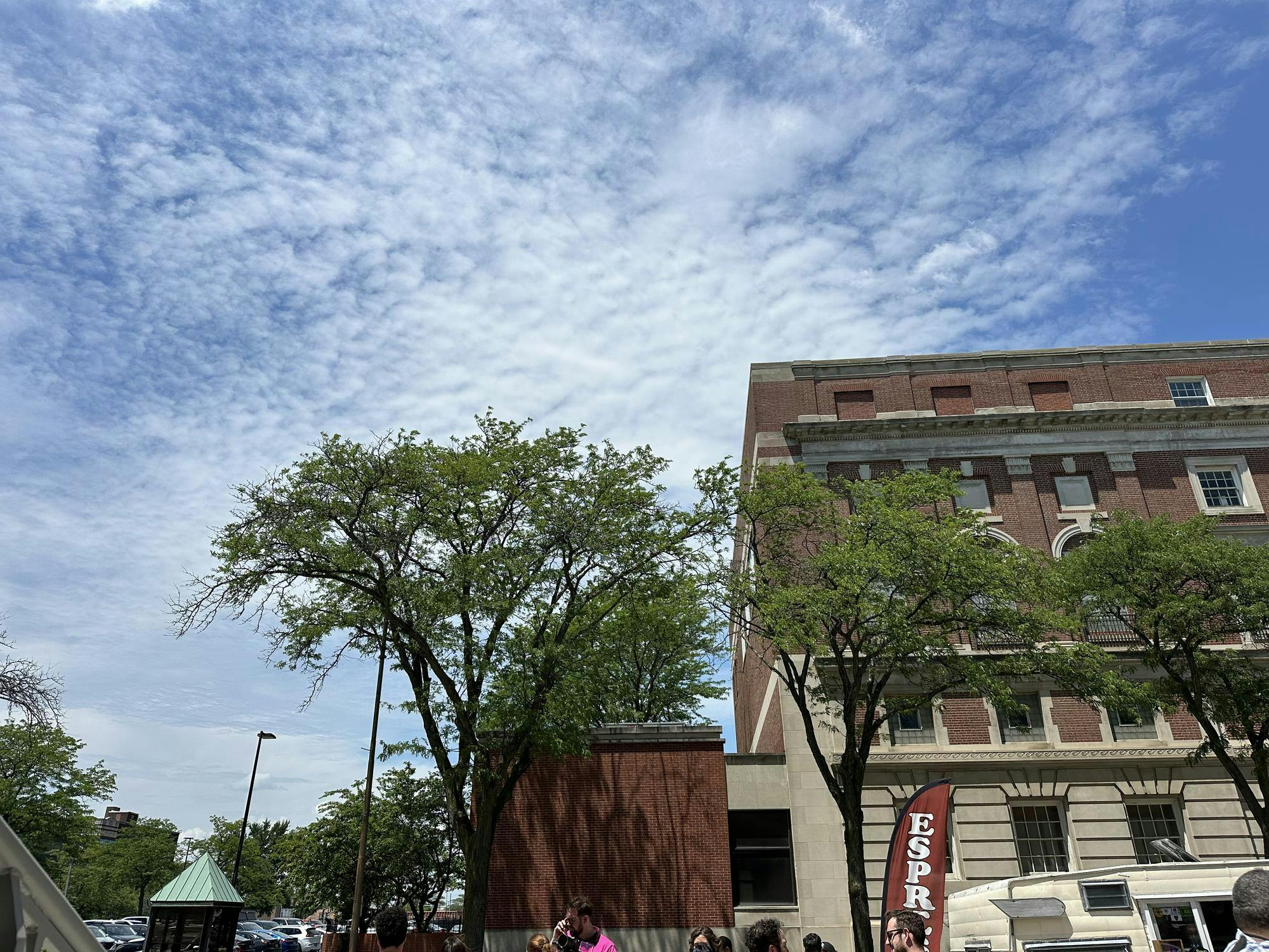 Trees against the backdrop of the sky