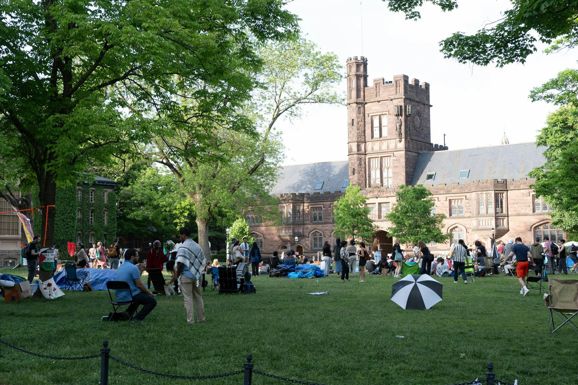 People in keffiyehs stand and sit at a protest rally on a sunny lawn. 