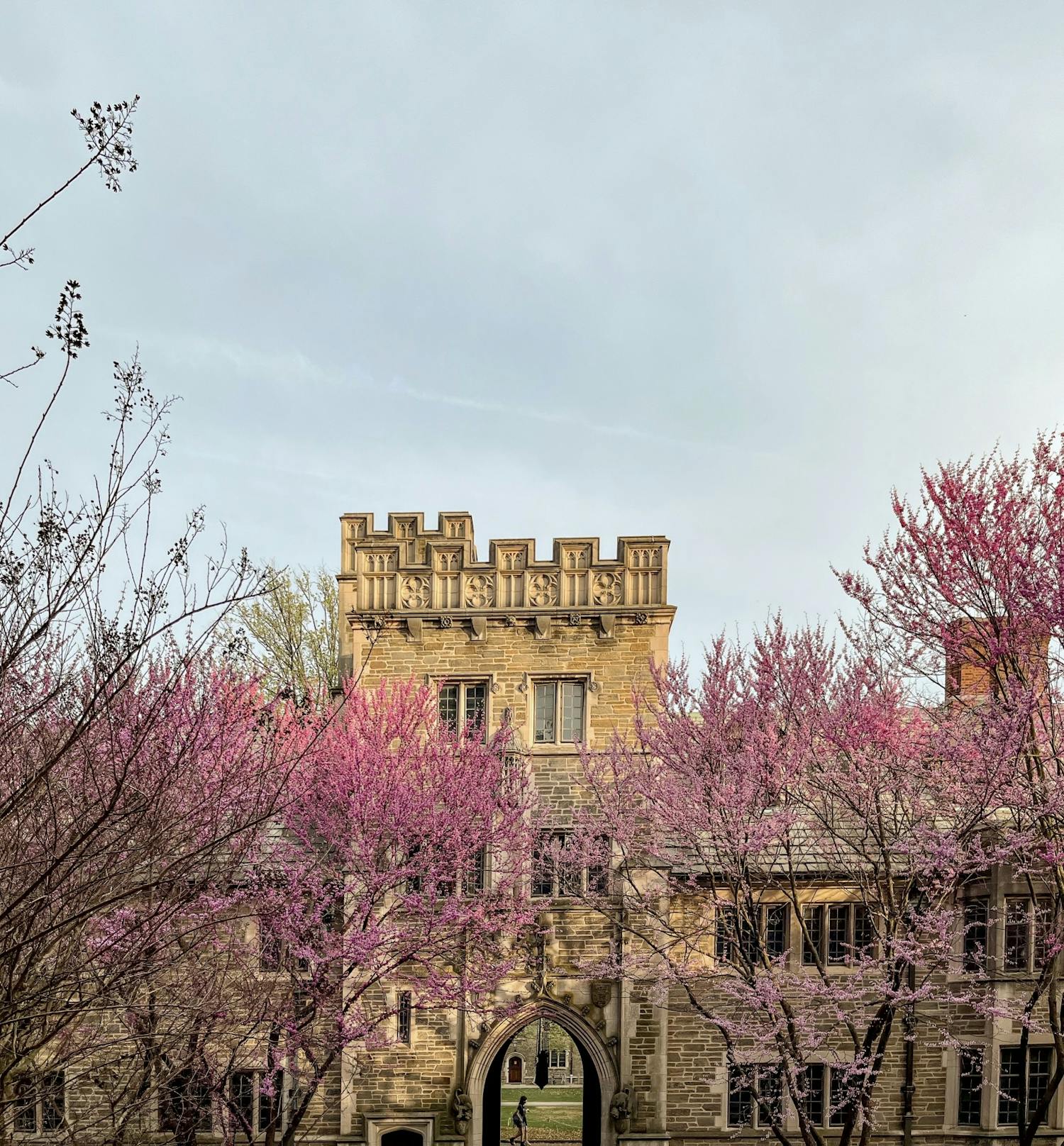This Week in Photos: Spring on campus - The Princetonian