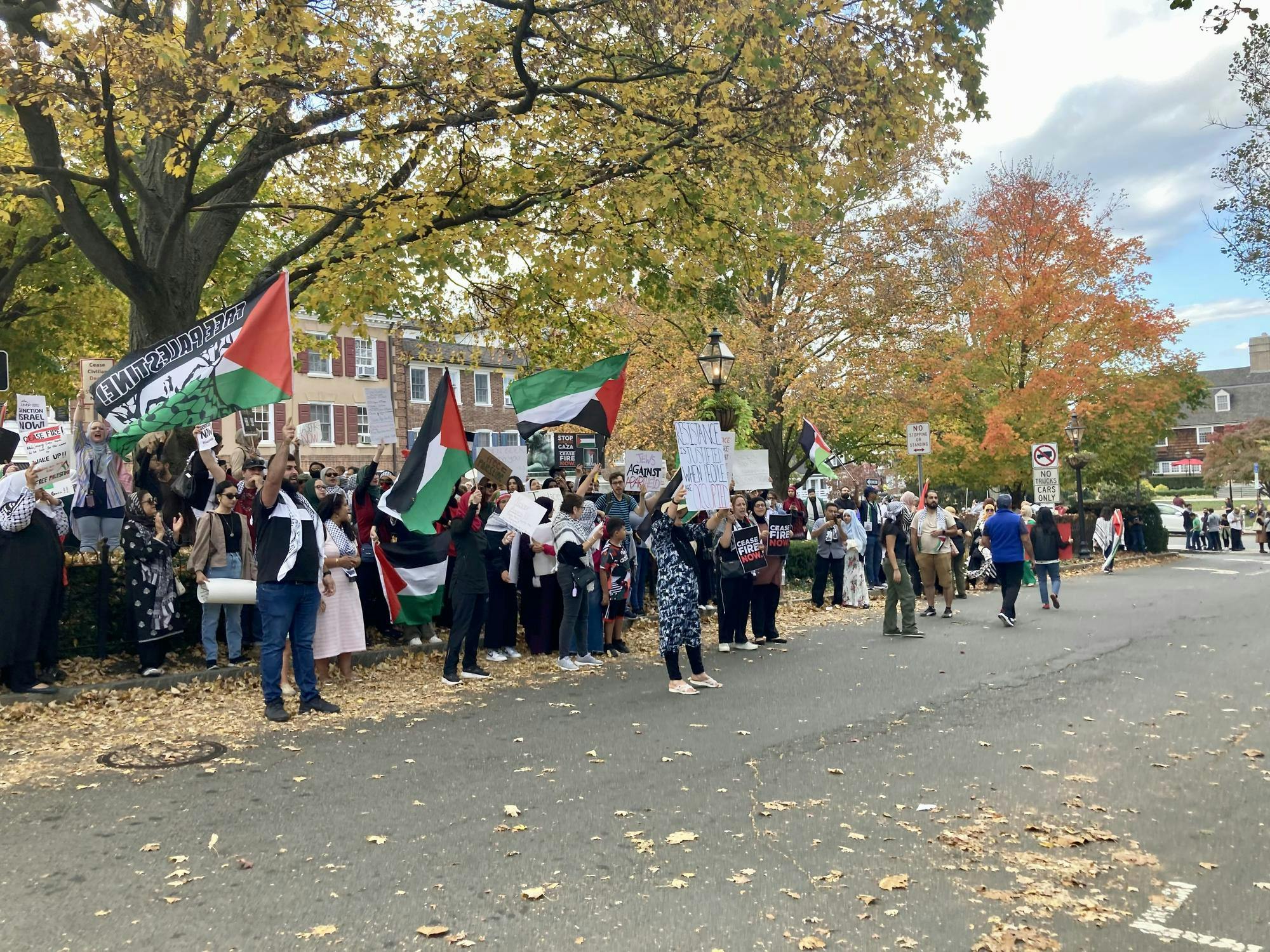A crowd of people stands on the sidewalk and in the street, holding up posters and Palestinian flags.