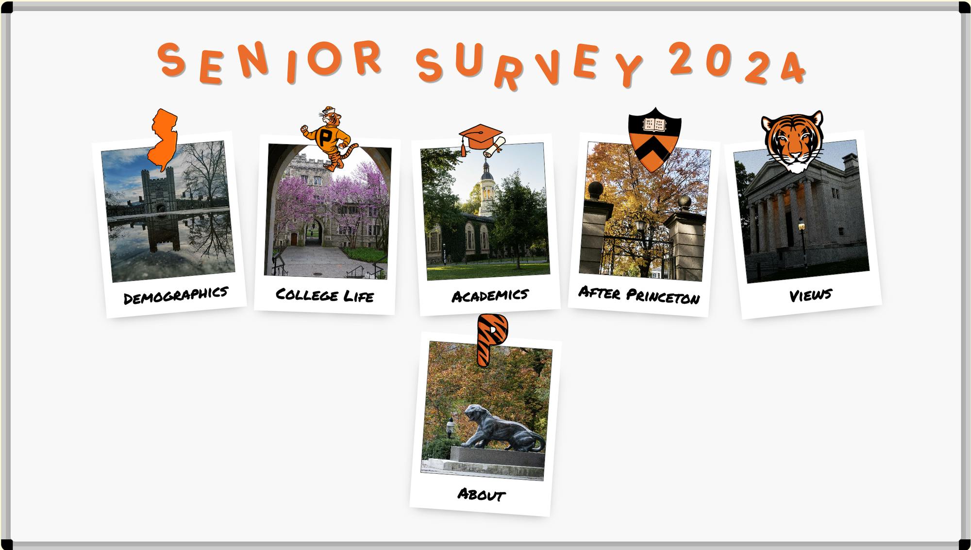 Orange bubble letters read “Senior Survey 2024” across the top of a white board. Five images are attached to the board with orange stickers of New Jersey, a Tiger, a cap, the Princeton shield, and the face of a tiger. Images with text below are: arch in water reflection - “Demographics,” pink trees through an arch - “College Life,” trees in front of white tower on building - “Academics,” trees in front of a gate - “After Princeton,” white building with columns - “Views.” In the row below, a black and orange striped “P” attaches the “About” graphic with an image of a green tiger statue.