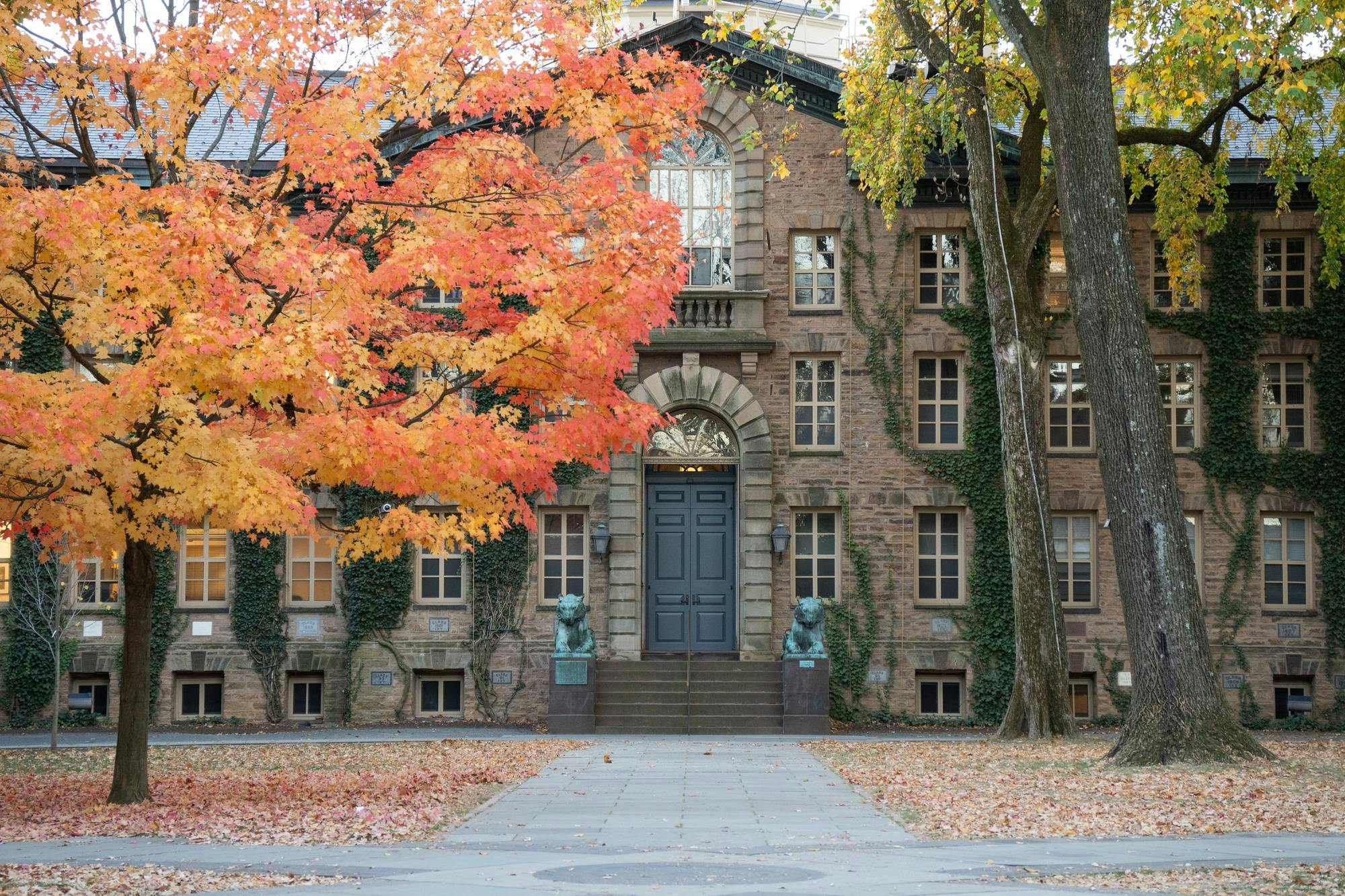 Brown stone building with many windows, ivy growing on it, and a tree with orange leaves in front.