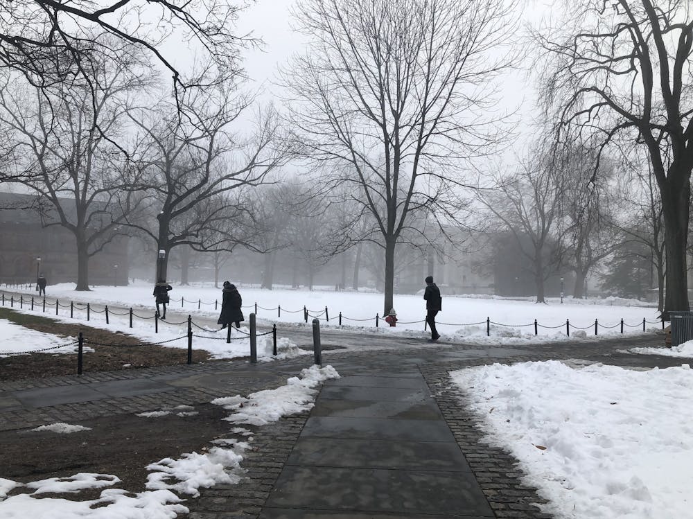 foggy campus (isabel richardson).jpg