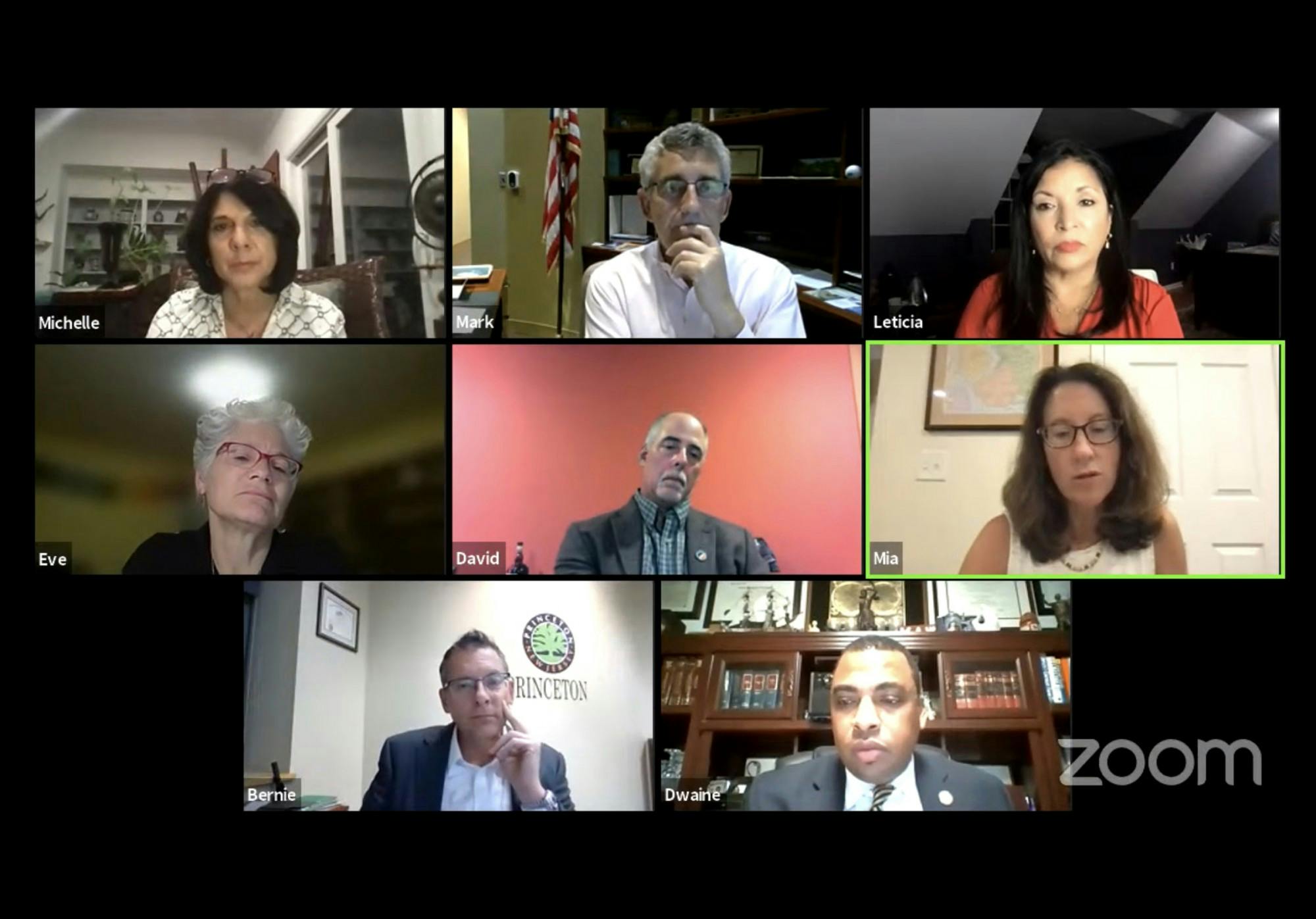 Princeton Town Council Meeting