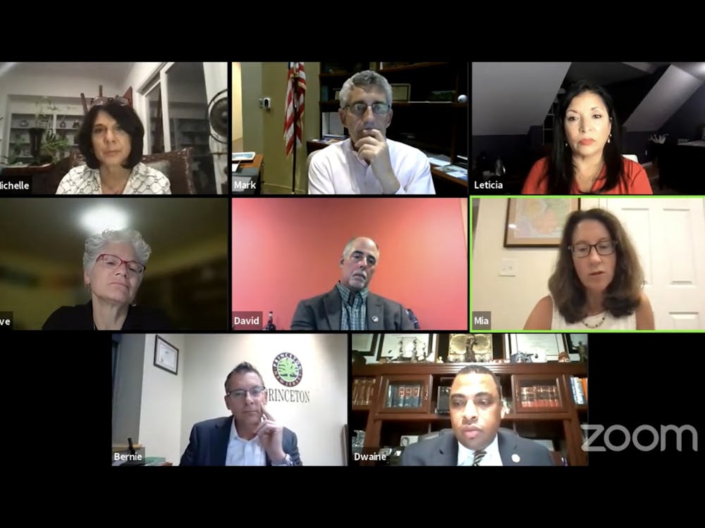 Princeton Town Council Meeting