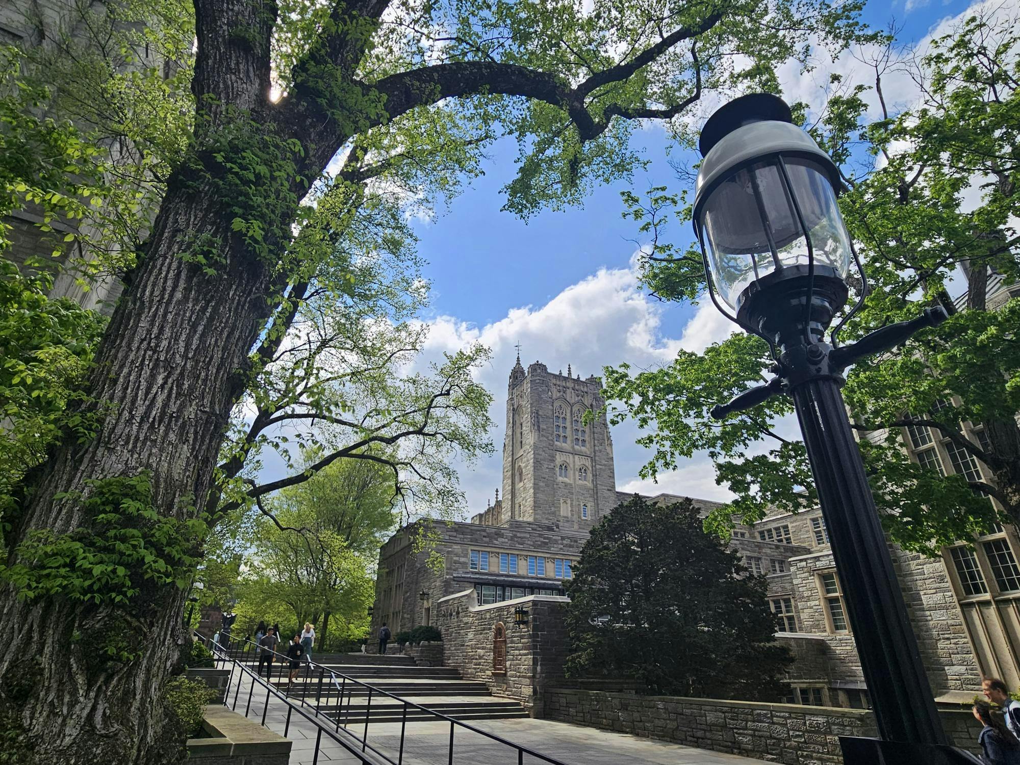 Stone library building with green trees and black lamppost in the foreground on a sunny, blue-skied spring day.