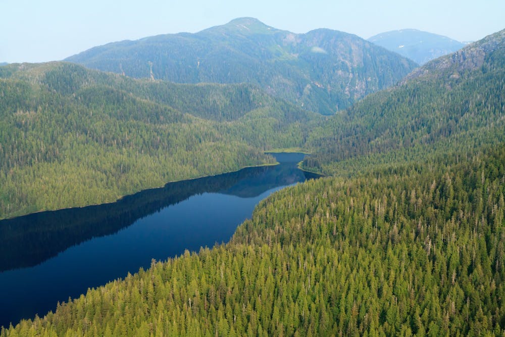 Aerial view of Tongass National Forest