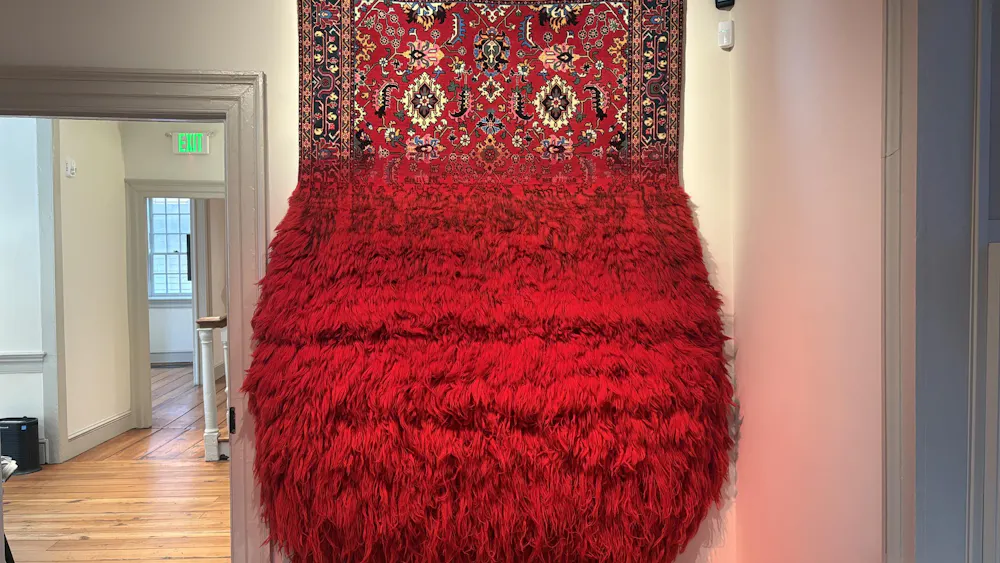 A red patterned carpet hangs on a white wall; the top portion of the carpet appears to be a normal carpet, but the lower half erupts into fluffy yarn.