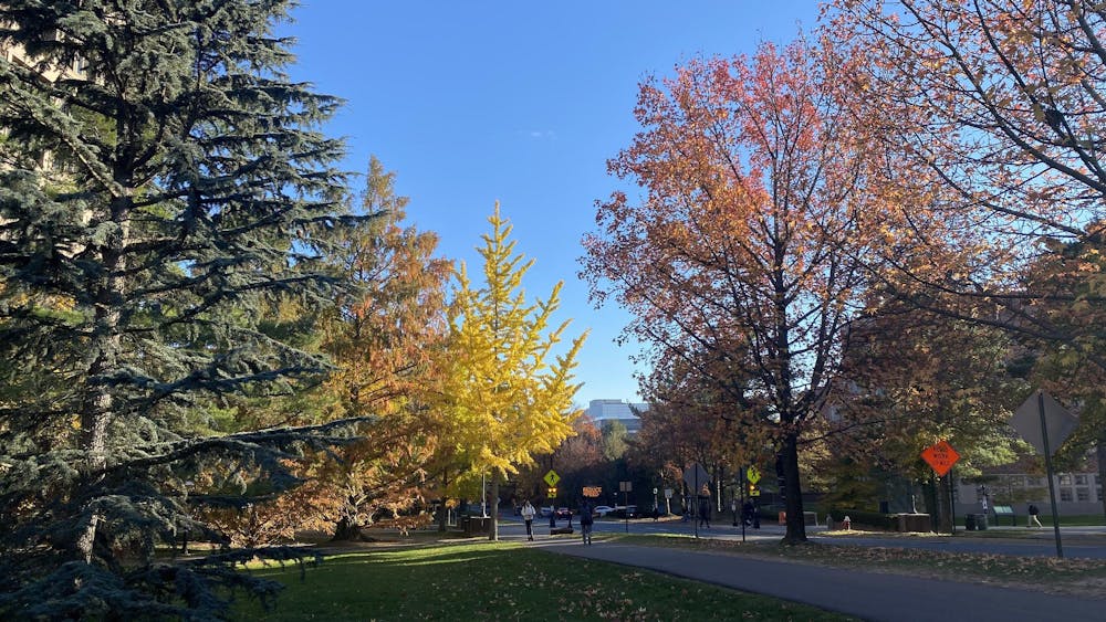 Trees line a two-lane asphalt road in front of a blue sky.