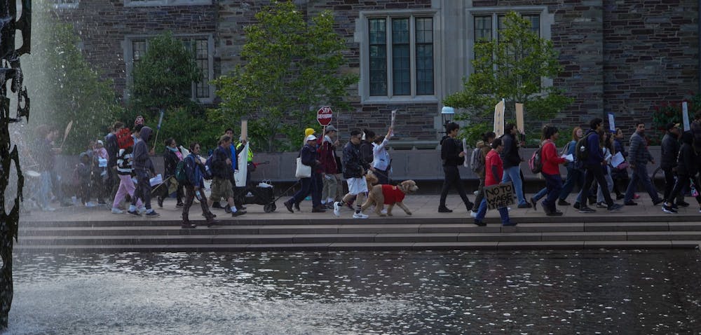 Protestors walking by SPIA fountain 2 - Louisa Gheorghita.jpg