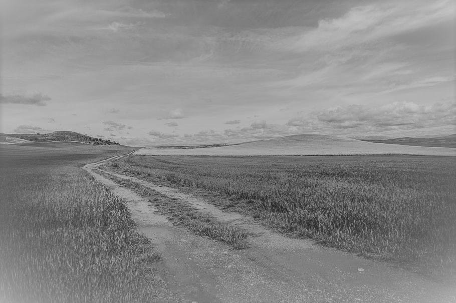 Gone-With-The-Wind (2).jpg