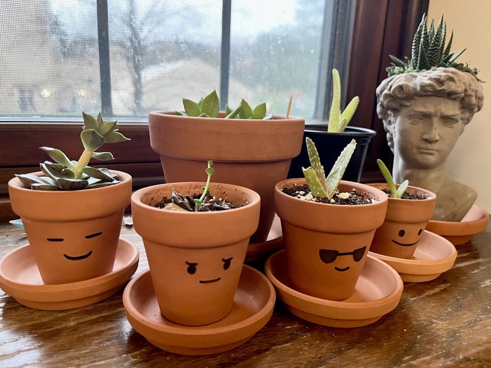 plants in pots that have various faces drawn on them