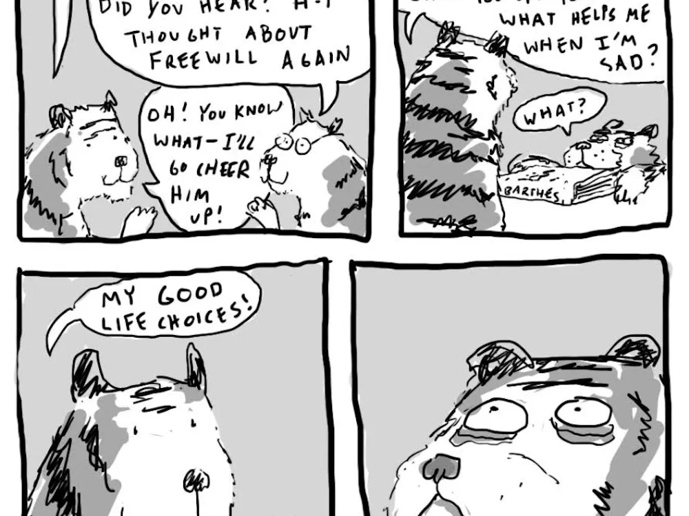 Free Will, Kai Song-Nichols '15