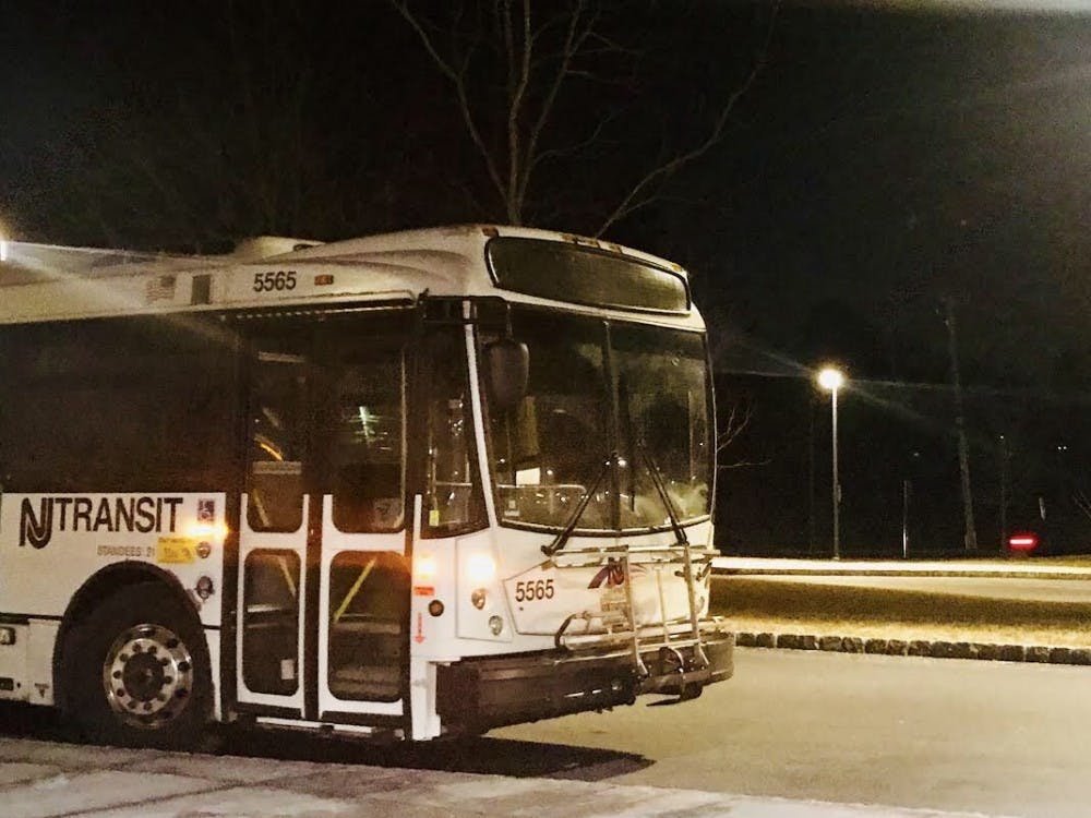 Buses will continue to run in place of the Dinky until mid-2019 at the earliest