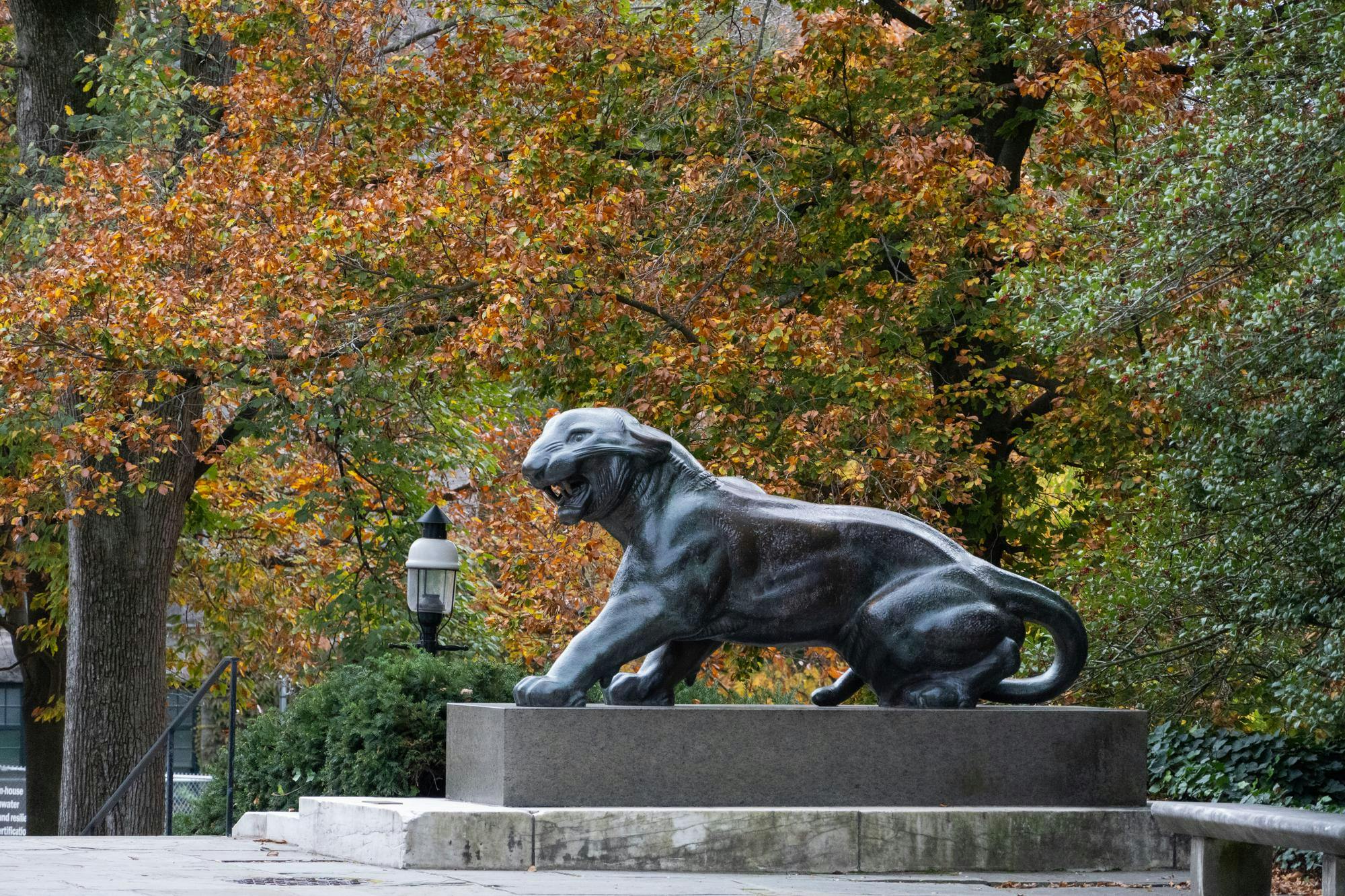 A tiger statue is seen in front of the orange and green trees. 