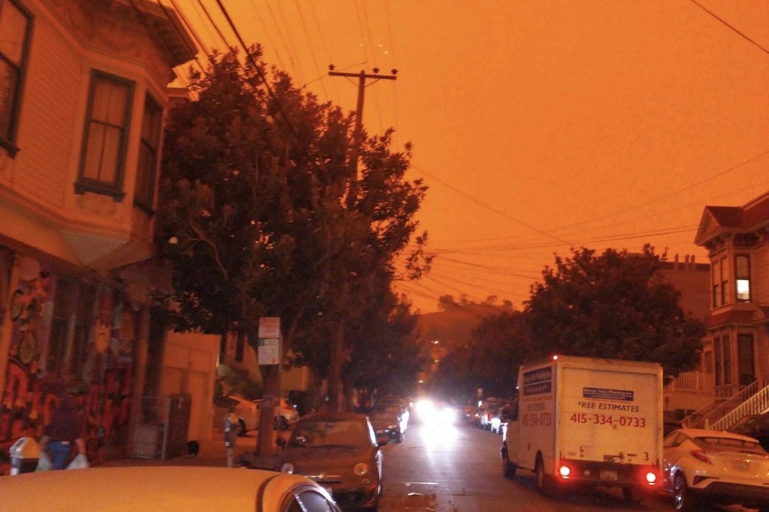 02b85942-4c1a-4d1d-86be-b2c4097505fa.sized-1000x1000 2.jpeg