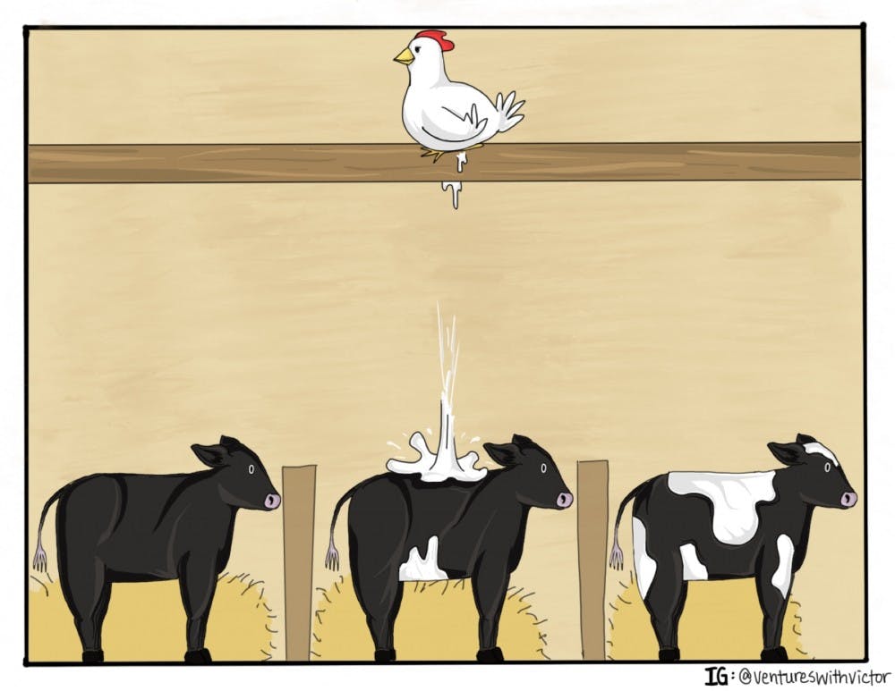 What happens in the barn, stays in the barn