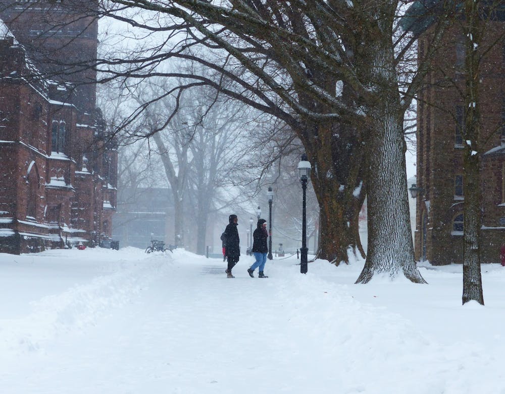 snowy-walk Zoe Berman.JPG