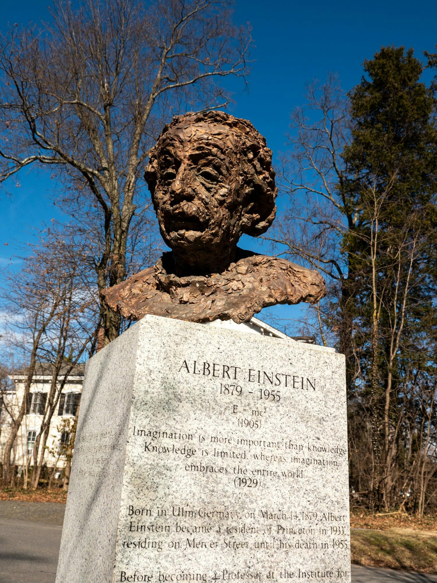 Einstein Sculpture 